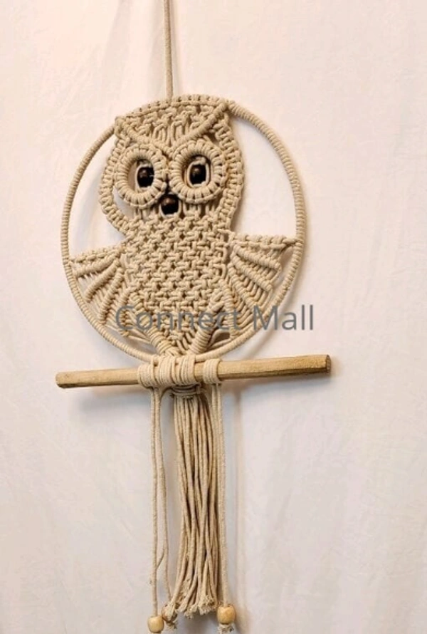 Priva Arts Premium Macrame Owl Handmade Cotton Rope Wall Hanging, Wall Decor For Home , living Room  (Off-White) -  Free Size, Off White,  Handicraft, Toran, Pack of1